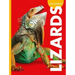 Curious about Lizards