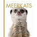 Meerkats
