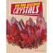 Dig and Discover Crystals