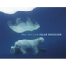 Polar Obsession