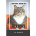 Picture Book Of Kittens For Dementia: A Gift Book for Alzheimer's Patients and Seniors with Dementia, A delightful picture book of 40 adorable kittens