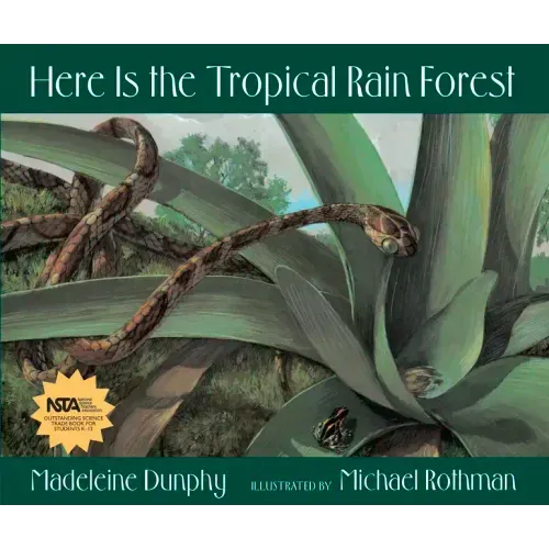 Here Is the Tropical Rain Forest