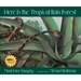 Here Is the Tropical Rain Forest