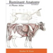 Ruminant Anatomy: A Photo Atlas