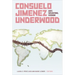 Consuelo Jimenez Underwood: Art, Weaving, Vision