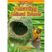 Amazing Animal Homes