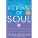 Power of Soul