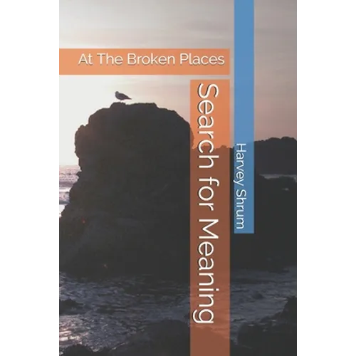 Search for Meaning: At The Broken Places