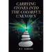 Carrying Stones into the Colorful Unknown