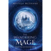 The Wandering Mage