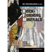 Introduction to the Rock-Forming Minerals