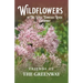 Wildflowers of The Little Tennessee River Greenway