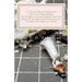A Funny Thing Happened After the Courthouse: : 10 Things Learned About Divorce Short & Simple Self-Realizations To Help Get Back on Track