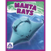 Manta Rays