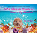 Let's Move to Hawaii: Bruno's Big Adventure