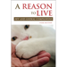 A Reason to Live: HIV and Animal Companions