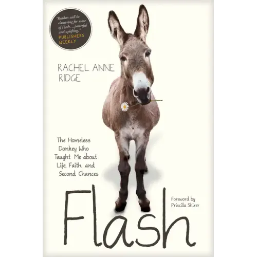 Flash: The Homeless Donkey Who Taught Me about Life, Faith, and Second Chances
