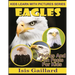 Eagles: Photos and Fun Facts for Kids