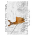 The Great Outdoors [Line Drawings]: Color the Art of Nature + Wildlife