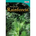 Step into the Rainforest