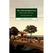 The Anthropological Lens: Harsh Light, Soft Focus