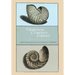 The Ambonese Curiosity Cabinet