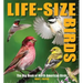 Life-Size Birds: The Big Book of North American Birds