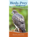 Birds of Prey of the Midwest: Your Way to Easily Identify Raptors