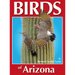 Birds of Arizona