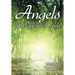 Angels at Pincher Creek