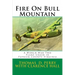 Fire On Bull Mountain: A World War Two Plane Crash in Patrick County Virginia