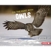 On the Hunt with Owls