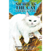 Nicholas the Cat Lends a Paw