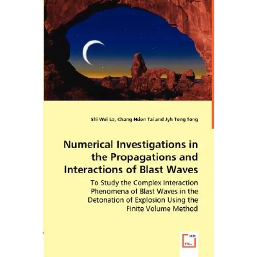 Numerical Investigations in the Propagations and Interactions of Blast Waves