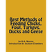 Best Methods of Feeding Chicks, Fowl, Turkeys, Ducks and Geese