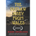 The Outlaw Josey From Wales