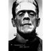 Frankenstein: (Special Edition)