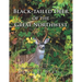 Black-Tailed Deer of the Great Northwest