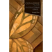 Converge Bible Studies - Encountering Grace