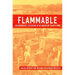 Flammable: Environmental Suffering in an Argentine Shantytown