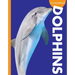 Curious about Dolphins