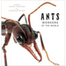 Ants: Workers of the World
