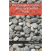 The Complete Guide Caring for Your Pet Rock