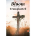 Bloom Where You Are Translanted
