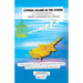 Cyprus: Island in the Storm