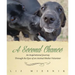 A Second Chance: An Inspirational Journey through the Eyes of an Animal Shelter Volunteer