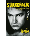 Surrender: 40 Songs, One Story