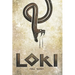 Loki: (Spanish Edition)