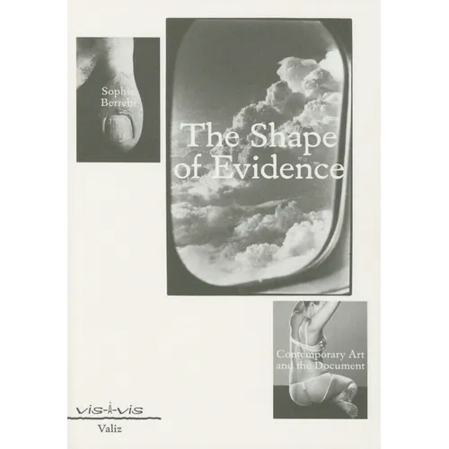 The Shape of Evidence: Contemporary Art and the Document