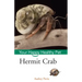 Hermit Crab: Your Happy Healthy Pet